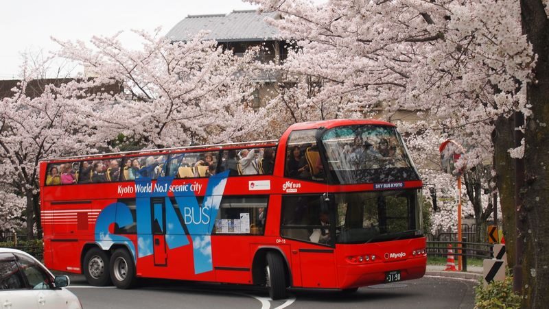 Kyoto Hop-On Hop-off sightseeing bus by Skyhop Bus (1day / 2days ticket) - A flexible pass, with a fixed rhythm