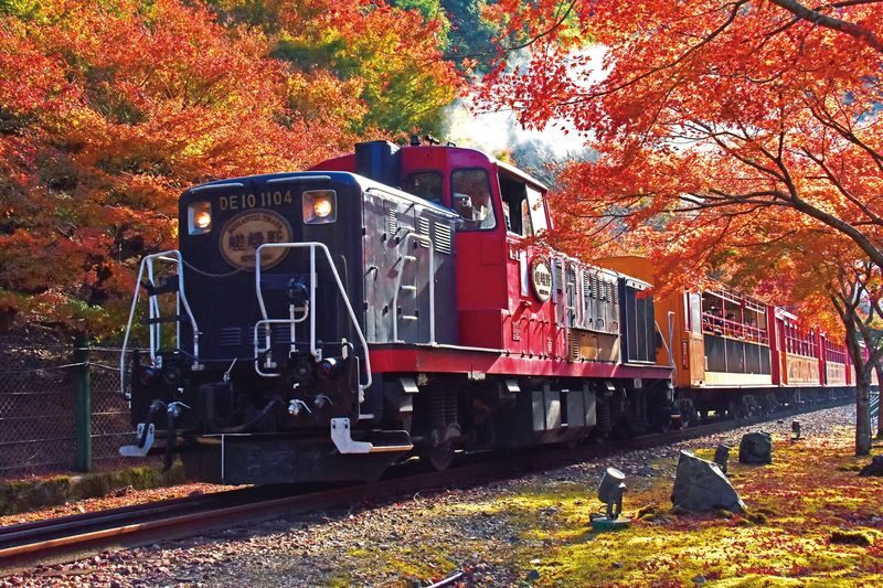 Kyoto Hozugawa River Boat Sagano Romantic Train Tour - Two views of Hozukyo Gorge in one day