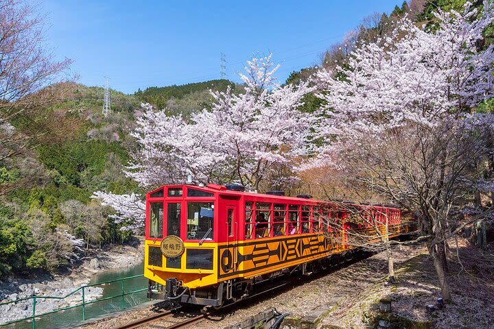 Kyoto Hozugawa River Boat Sagano Romantic Train Tour - Is $90.95 good value?