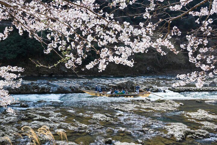 Kyoto Hozugawa River Boat Sagano Romantic Train Tour - Who should book this Kyoto tour?