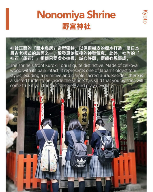 Kyoto Hozugawa River Cruise & Sagano Train Experience - Who should choose this outing?
