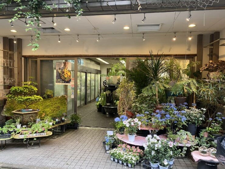 Kyoto: Ikebana Experience Tour - Ikebana Art Exploration