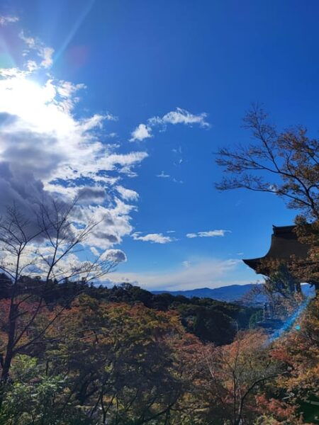 Kyoto Imaginary Experience - Customer Ratings