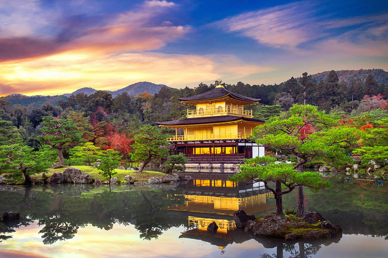 Kyoto In-Depth Tour: Nijo Castle + Kinkaku-ji (Golden Pavilion) + Fushimi Inari-taisha Shrine + Arashiyama Tenryu-ji Temple & Bamboo Grove One Day Tour | Departure from Osaka/Kyoto Available - Nijo Castle: shogun power in the heart of Kyoto