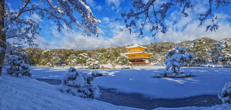 Kyoto In-Depth Tour: Nijo Castle + Kinkaku-ji (Golden Pavilion) + Fushimi Inari-taisha Shrine + Arashiyama Tenryu-ji Temple & Bamboo Grove One Day Tour | Departure from Osaka/Kyoto Available - Arashiyama: bamboo, temple grounds and the river bridge