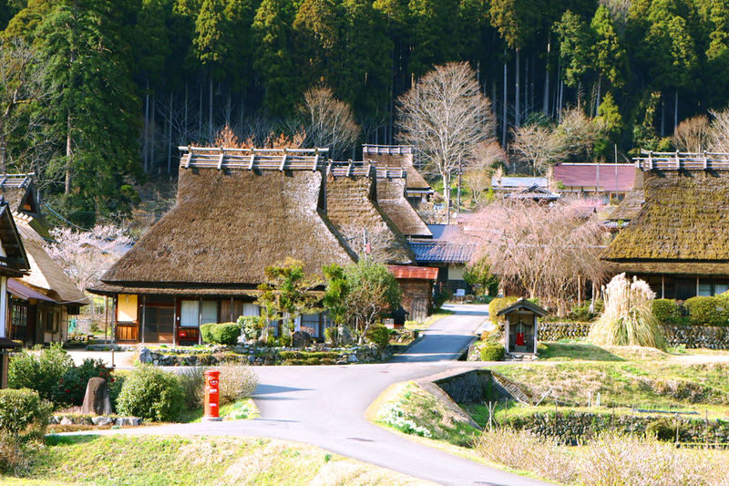 Kyoto: Ine Funaya, Amanohashidate & Miyama Thatched Village Day Tour (Departing from Kyoto) - What the coach and guide add