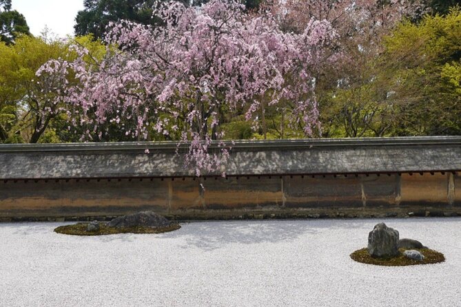 Kyoto ITALIAN GUIDE Golden Pagoda Bamboo Forest Dry Garden - Participant Requirements