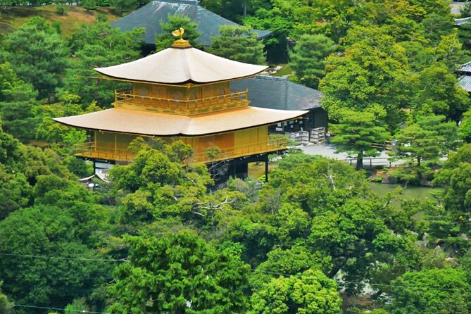 Kyoto ITALIAN GUIDE Golden Pagoda Bamboo Forest Dry Garden - Start Time