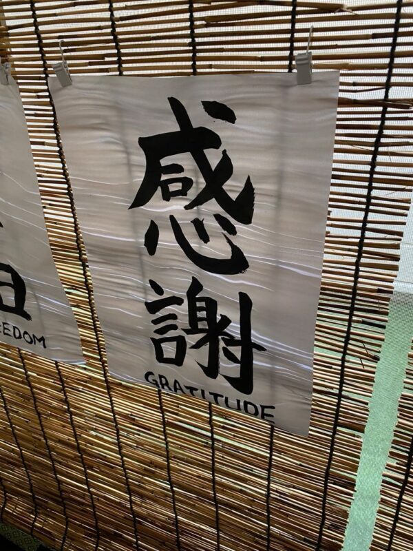 Kyoto: Japanese Calligraphy Experience in a Traditional Studio - Price, package choice, and practical limits