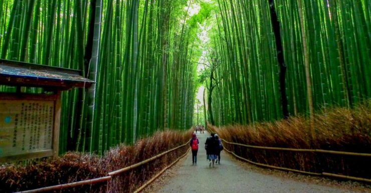 Kyoto: Japanese Gardens Private Customizable Tour - Tour Details