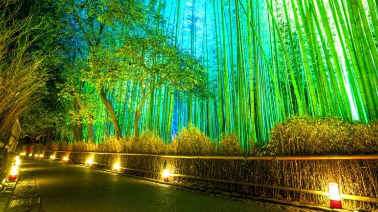 Kyoto: Japanese Gardens Private Customizable Tour - Cancellation and Flexibility