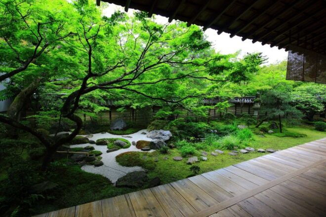 Kyoto: Japanese Gardens Private Customizable Tour - Transportation