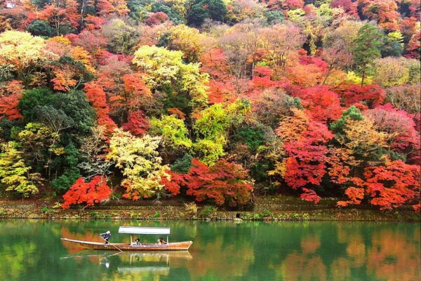 Kyoto: Japanese Gardens Private Customizable Tour - Payment and Reservation Process
