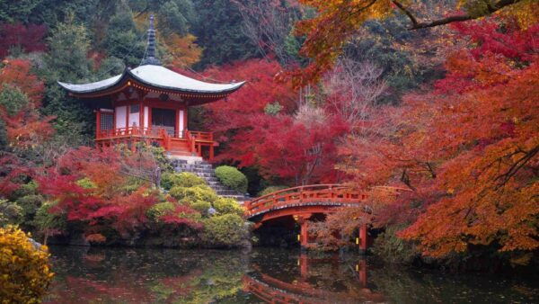 Kyoto: Japanese Gardens Private Customizable Tour - Common Questions