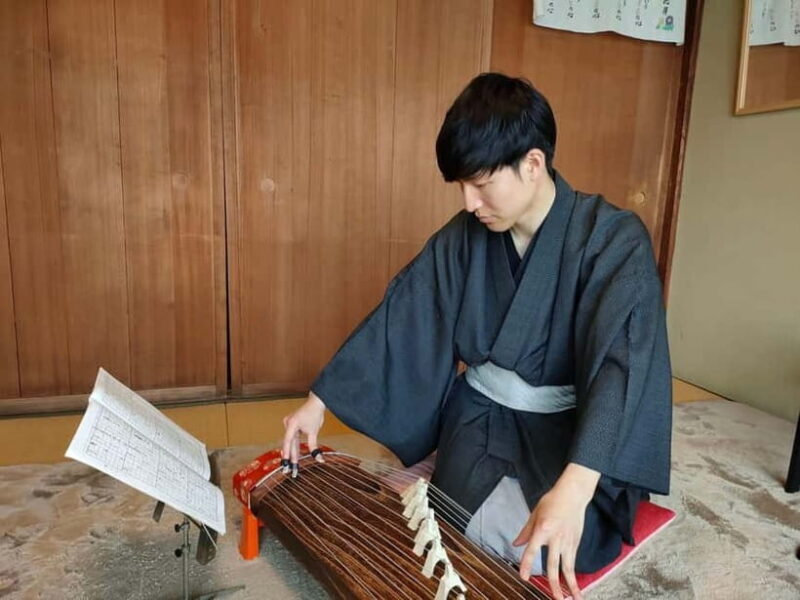 Kyoto: Japanese Koto & Shamisen Concert and Koto Class - Authentic Cultural Encounter or Light Entertainment?
