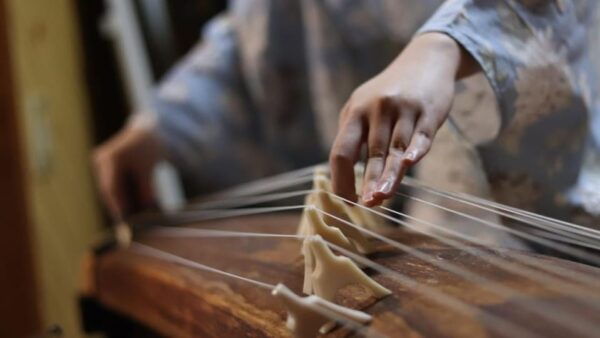 Kyoto: Japanese Music Concert and Music Class Experience - Feedback From Attendees