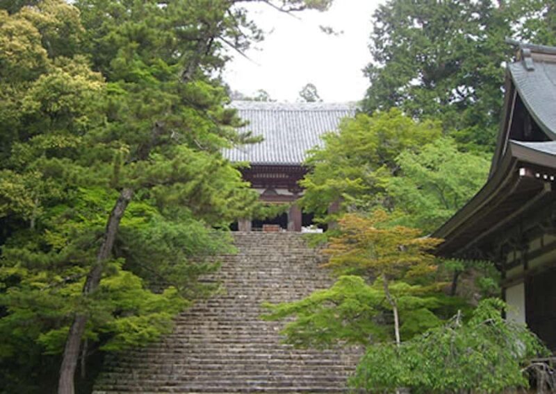 Kyoto: Jingoji and Kozanji Temple Private Day Trip - A Deep Dive into the Itinerary and Experience