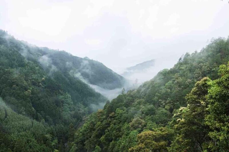 Kyoto: Jingoji and Kozanji Temple Private Day Trip - Why This Tour Is a Great Value