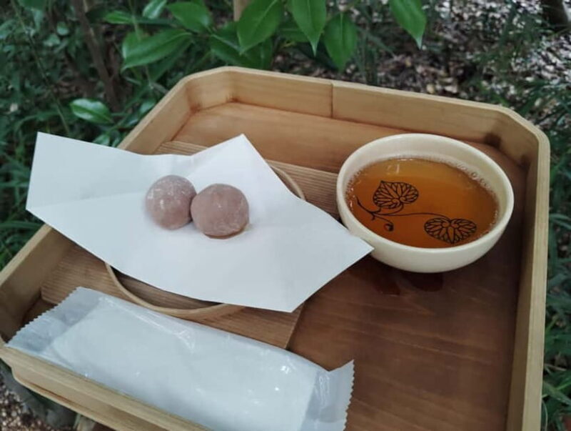 Kyoto: Kamigamo and Shimogamo Shrines Guided Tour 3h - The Value and Who Will Love This Tour