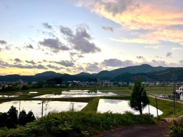 Kyoto (Keihoku) : Japanese Scenic Countryside Bike Tour - Important Safety Information