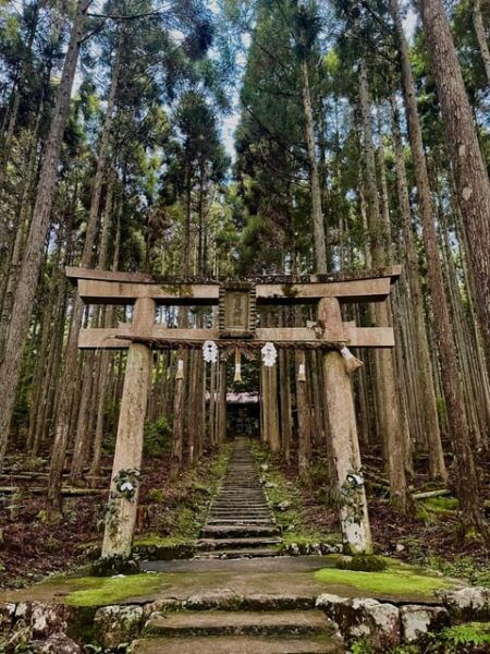 Kyoto (Keihoku) : Japanese Scenic Countryside Bike Tour - Booking and Cancellation Policy