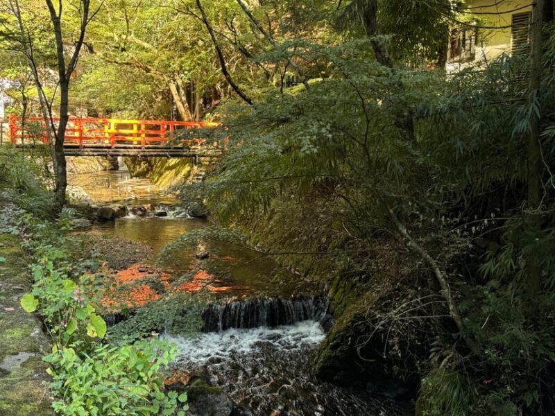 Kyoto: Kifune Shrine and the Sacred Kifune Valley Day Trip - Considerations for Travelers