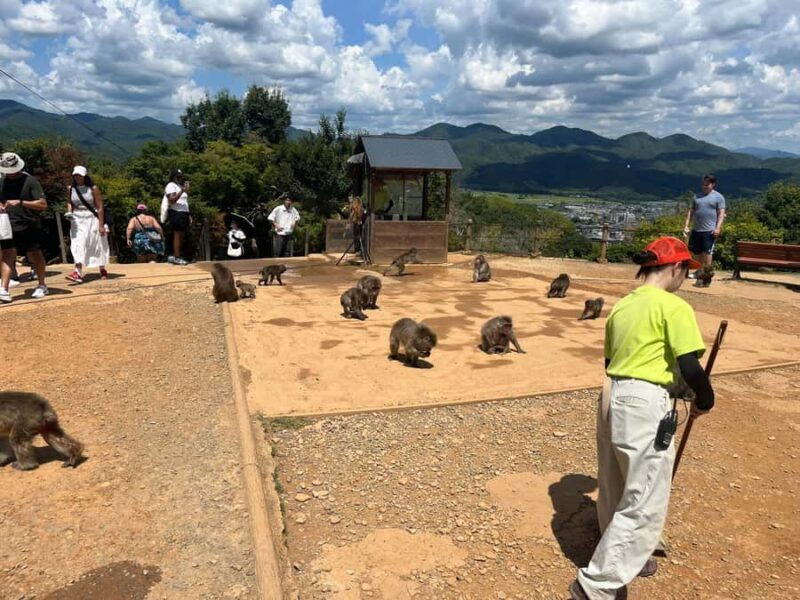 Kyoto: Kinakuji The Golden Pavilion, Ryan-Ji and Wildlife - Good To Know