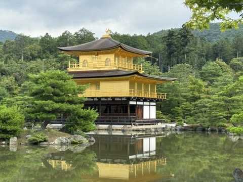 Kyoto Kinkaku-ji 1.5-hour Small Group History Tour - How to decide if 90 minutes is right for you