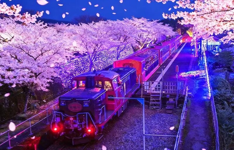 Kyoto Kinkaku-ji Temple, Arashiyama Free Stroll & Night Cherry Blossom/Autumn Leaves Illumination Arashiyama Sagano Romantic Train Day Trip (Departing from Osaka/Kyoto) - The Golden Pavilion makes a strong first stop