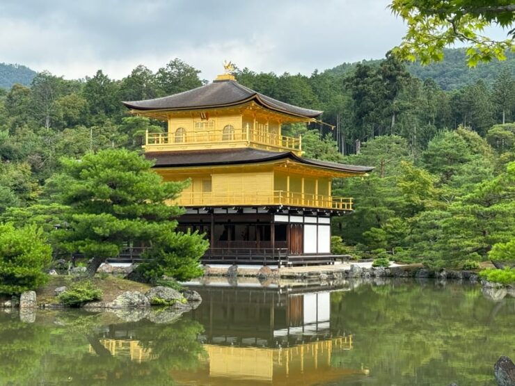 Kyoto: Kinkakuji, Golden Pavilion Guided Tour in 90 Minutes - Pricing and Reservation Details