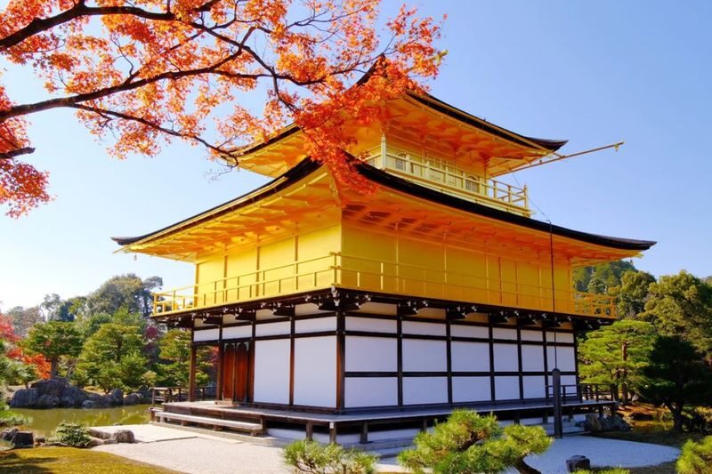 Kyoto Kiyomizu-dera Temple, Kinkaku-ji Temple, and Fushimi Inari-taisha Shrine One-Day Tour - Three Kyoto icons, one long day