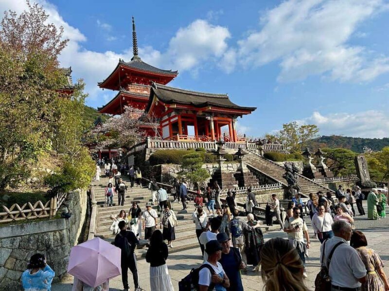 Kyoto: Kiyomizu & Gion Full-Day Tour with Dinner - Who Should Consider This Tour  