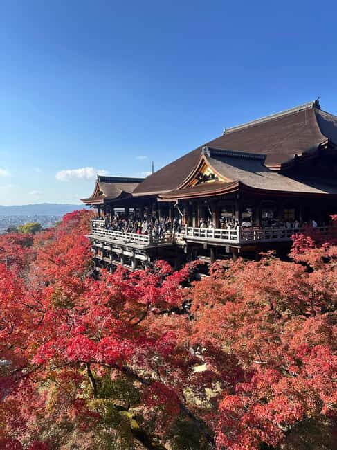 Kyoto: Kiyomizudera, Sanjusangendo, Kodaiji, and Gion. - A Deep Dive into the Kyoto Highlights