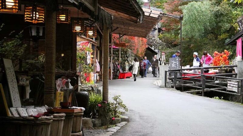 Kyoto: Kurama, Kibune, and Ohara Private Tour for Couples - Practical Details and What to Expect  