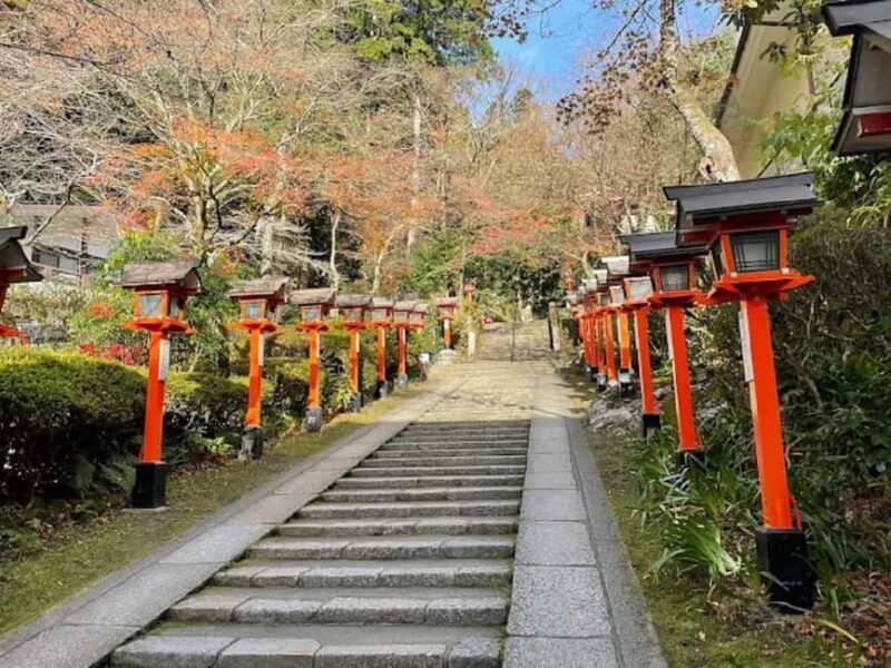 Kyoto: Kurama, Kibune, and Ohara Private Tour for Couples - Practical Details and What to Expect