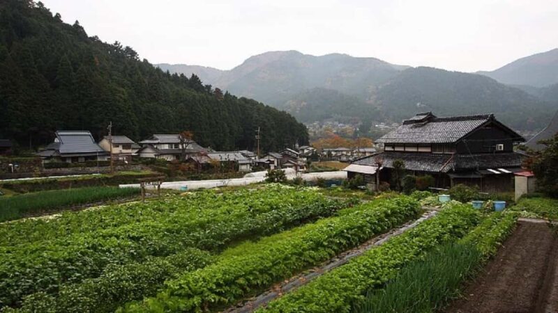 Kyoto: Kurama, Kibune, and Ohara Private Tour for Couples - FAQs
