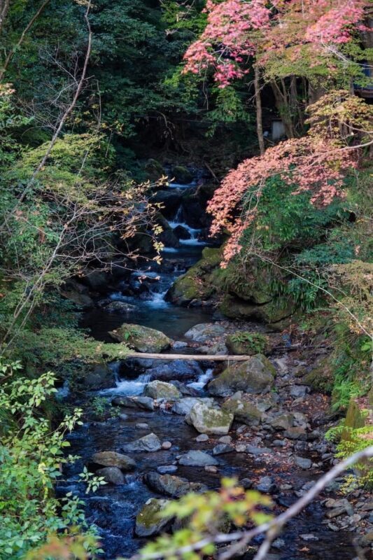 Kyoto, Kurama: KURAMA Onsen Admission Ticket - Outdoor bathing through the seasons