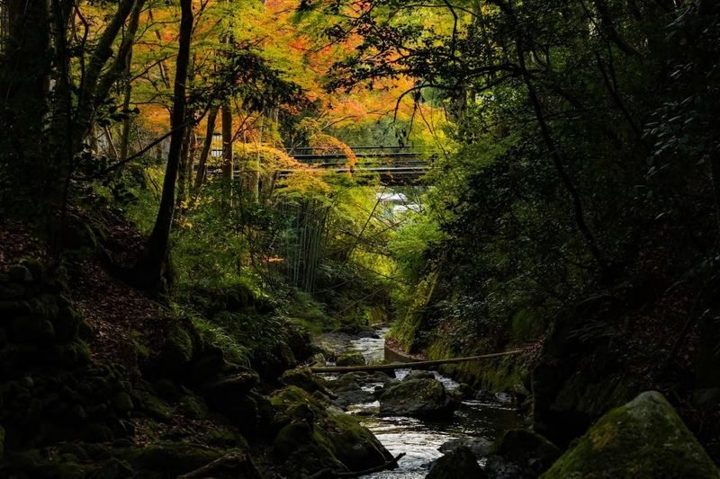 Kyoto, Kurama: KURAMA Onsen Admission Ticket - Meals, facilities, and what to expect