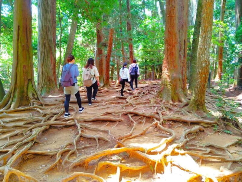 Kyoto: Kurama Temple and Mountain Legends Guided Hike - Exploring Mount Kurama: A Journey into Japan’s Sacred Mountain