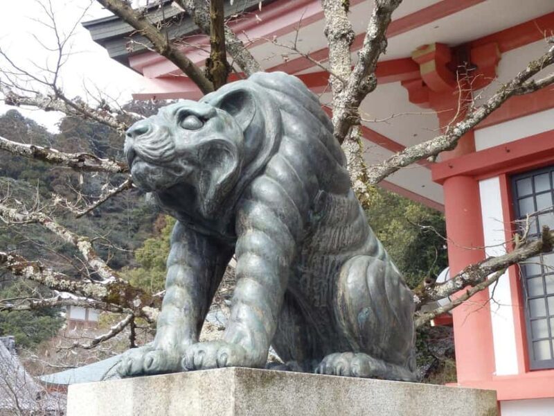 Kyoto: Kurama to Ohara Mountain Temples & Countryside Tour - Good To Know