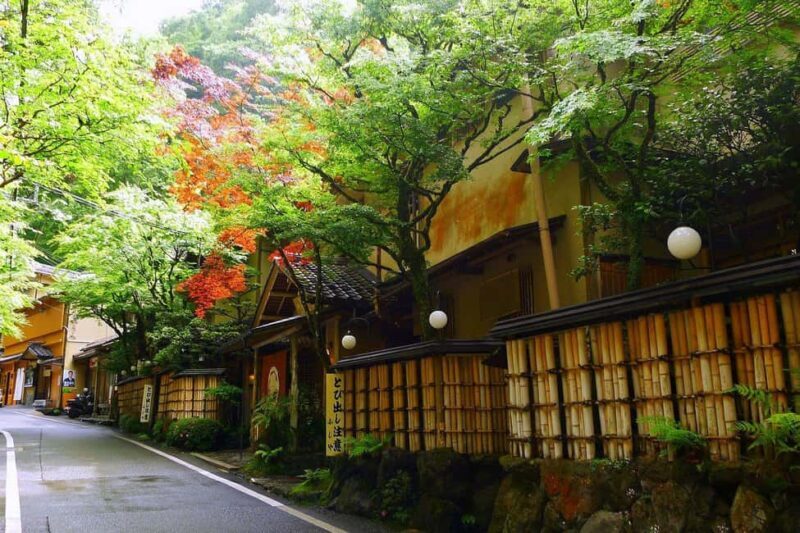 Kyoto: Kurama to Ohara Mountain Temples & Countryside Tour - FAQ