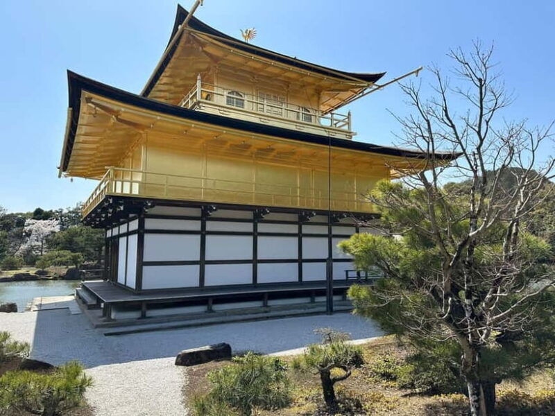 Kyoto: Kyoto Flexible Private Tour By Fluent English Driver - Final Thoughts: Who Is This Tour Best For?
