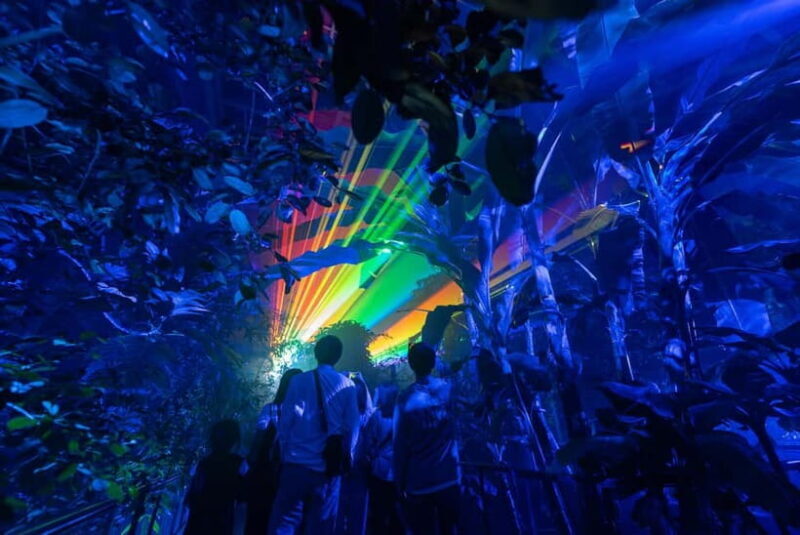 Kyoto: Light Cycles by Moment Factory with Yukata Rental - What is Light Cycles by Moment Factory?