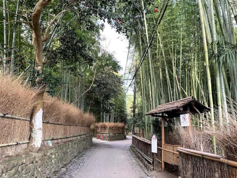 Kyoto Love :Romantic Tour of Arashiyama & Togetsukyo Bridge - Good To Know