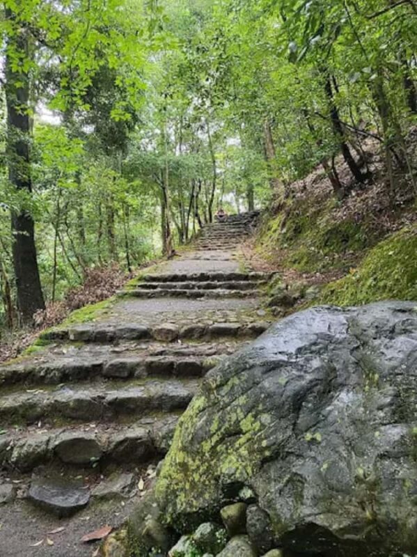 Kyoto Love :Romantic Tour of Arashiyama & Togetsukyo Bridge - An In-Depth Look at the Kyoto Love Tour