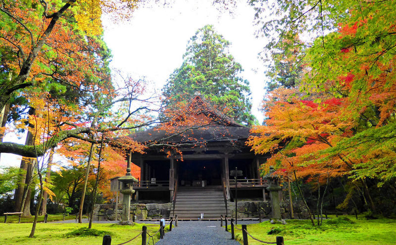 Kyoto Luxury Private Car Charter - Exploring Japanese Style - Arashiyama starts the day among bamboo and river views