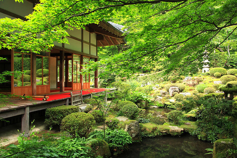 Kyoto Luxury Private Car Charter - Exploring Japanese Style - Fushimi Inari and Sanjusangen-do shift the day south