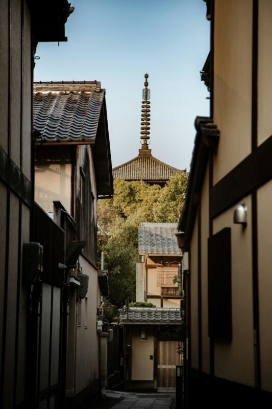 Kyoto Luxury Private Car Charter - Exploring Japanese Style - Kiyomizu-dera and Gion close the day in eastern Kyoto