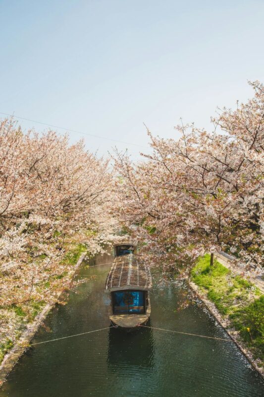 Kyoto Luxury Private Car Charter - Exploring Japanese Style - Helpful drivers are a large part of the value
