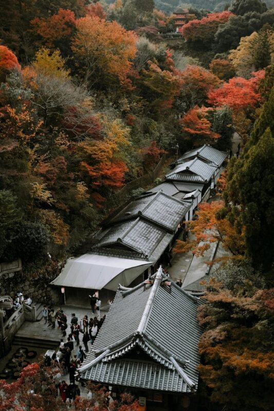 Kyoto Luxury Private Car Charter - Exploring Japanese Style - Is the price worth it for your group?